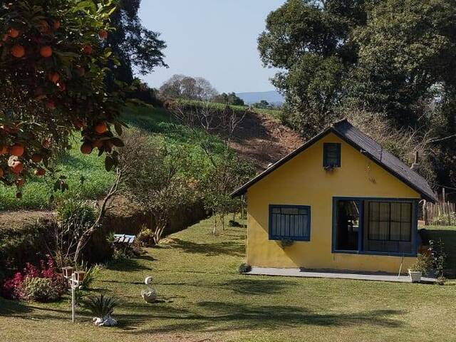 #59 - Chácara para Venda em Carambeí - PR