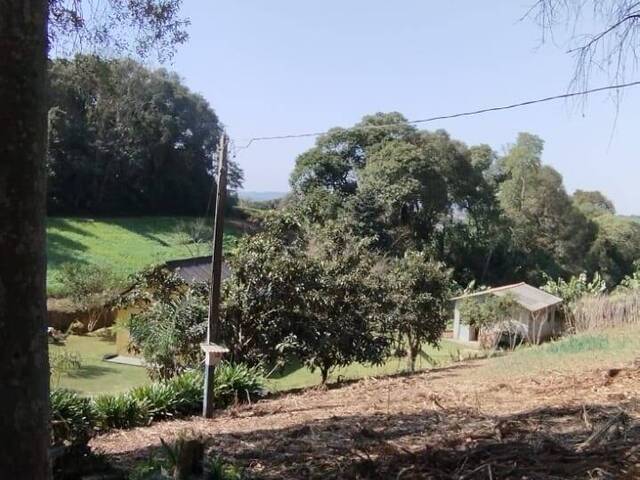 #59 - Chácara para Venda em Carambeí - PR
