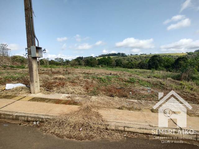 #81 - Área para Venda em Ponta Grossa - PR