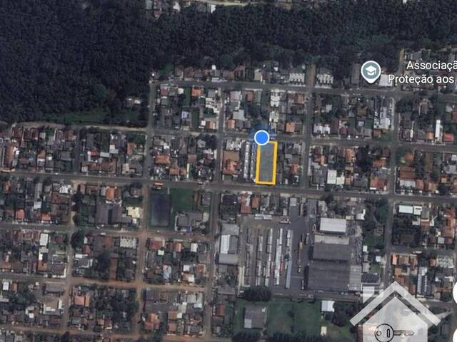 Área para Venda em Ponta Grossa - 5